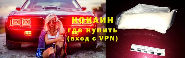 сатива Снежногорск