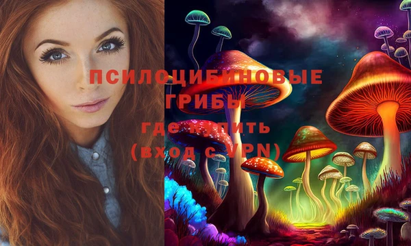 таблы Алзамай