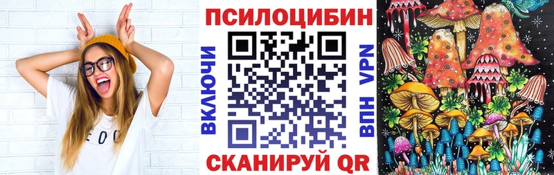 blacksprut ТОР  Богородицк  Галлюциногенные грибы Magic Shrooms  наркотики 