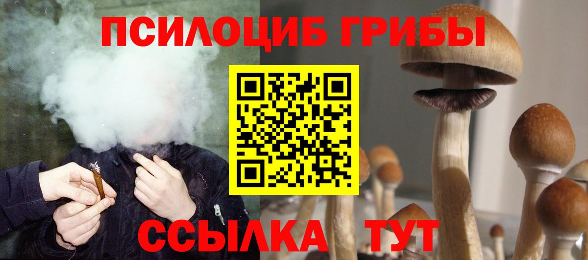 Псилоцибиновые грибы Psilocybe  Вход с VPN  Псилоцибиновые грибы Psilocybe  Богородицк 
